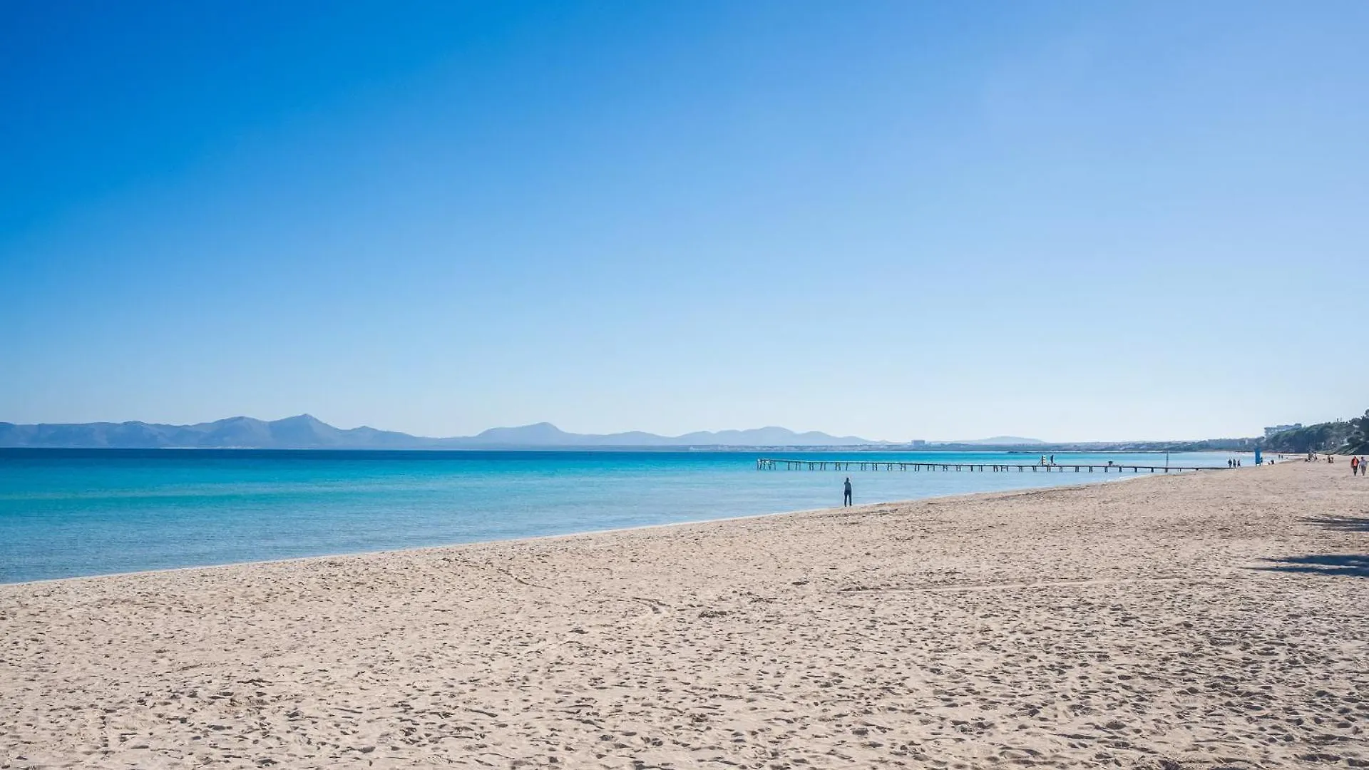 Ideal Property Mallorca - Villa Can Torrens Alcudia  Holiday home Alcudia (Mallorca)